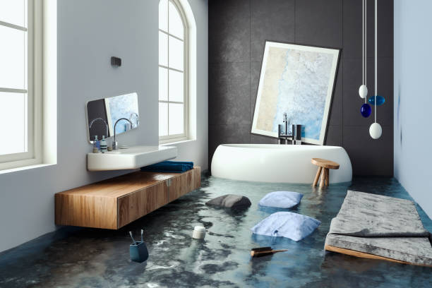 Best Water damage mitigation services  in Sunnyside Tahoe City, CA