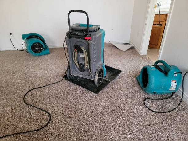 Best 24/7 water damage repair  in Sunnyside Tahoe City, CA