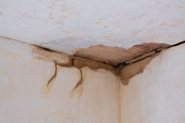 Best Water damage contractors near me  in Sunnyside Tahoe City, CA