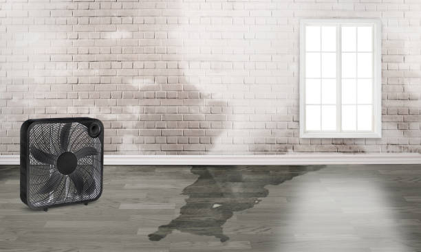 Best Basement water damage restoration  in Sunnyside Tahoe City, CA