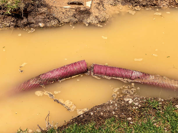Best Emergency water damage restoration  in Sunnyside Tahoe City, CA