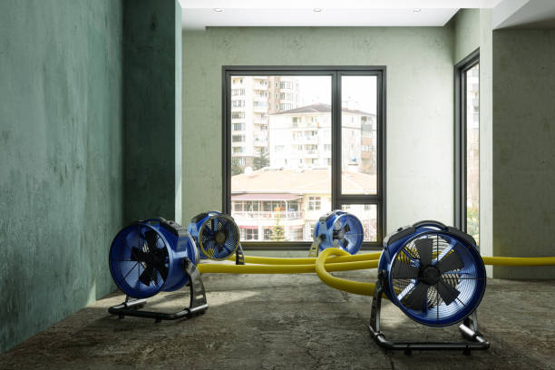Best 24-hour water damage restoration  in Sunnyside Tahoe City, CA