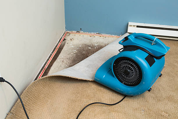 Best Water damage restoration near me  in Sunnyside Tahoe City, CA